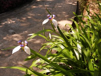 DSCN1807.JPG