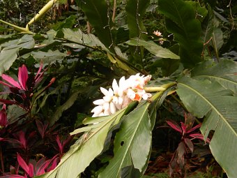 DSCN1822.JPG