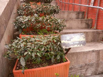 DSCN1841.JPG