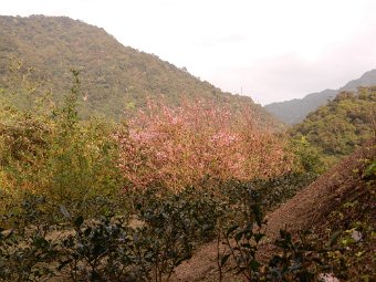 DSCN1847.JPG