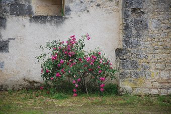 DSC_0138.JPG