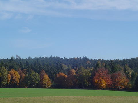 Campagne tcheque 1