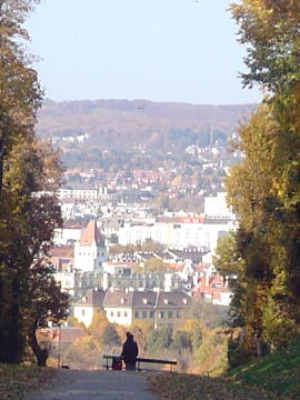 Schonbrunn 19