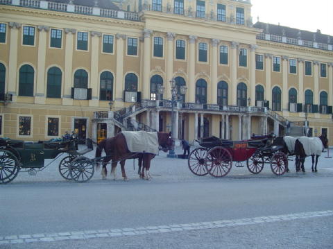 Schonbrunn 31