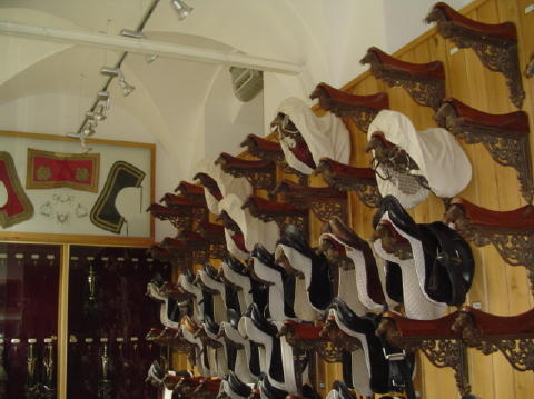 Spanische Hofreitschule 22
