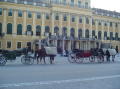 Schonbrunn 31