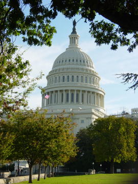 Capitole 4