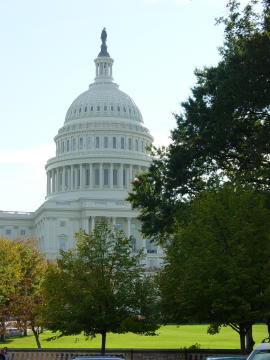 Capitole 6