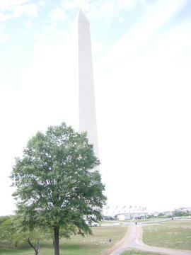 Washington Memorial, DC 032