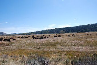DSC_0752.JPG