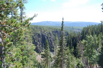 DSC_0774.JPG