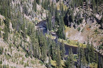 DSC_0775.JPG