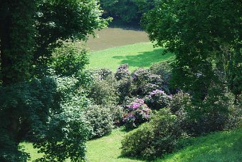 DSC_0979.JPG